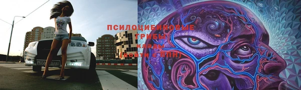 spice Бородино