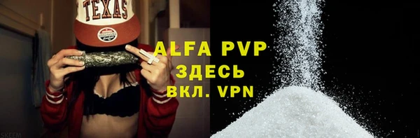 spice Бородино