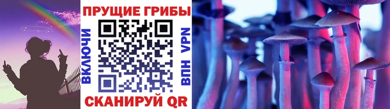 даркнет какой сайт  Юхнов  Псилоцибиновые грибы Psilocybe 