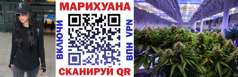 купить закладку  Юхнов  Шишки марихуана SATIVA & INDICA 